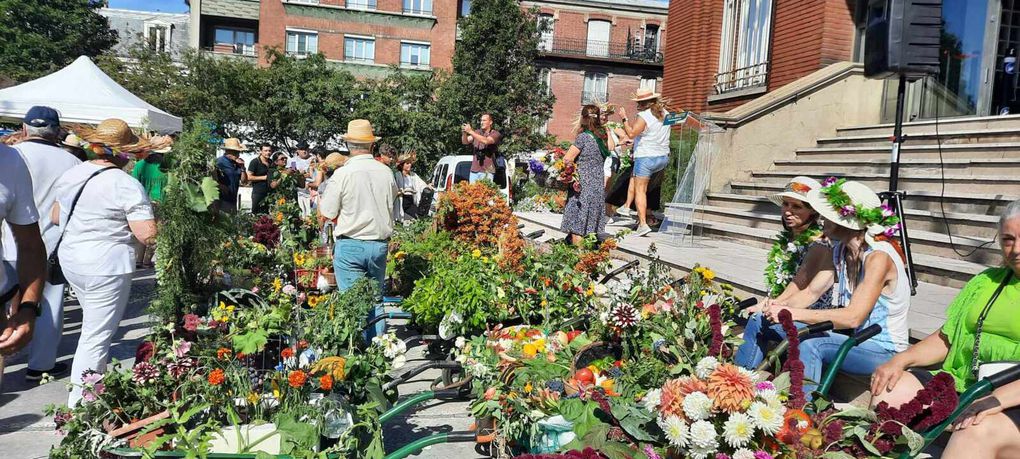 La Fête des Brouettes : Un Rendez-vous Traditionnel à Saluer