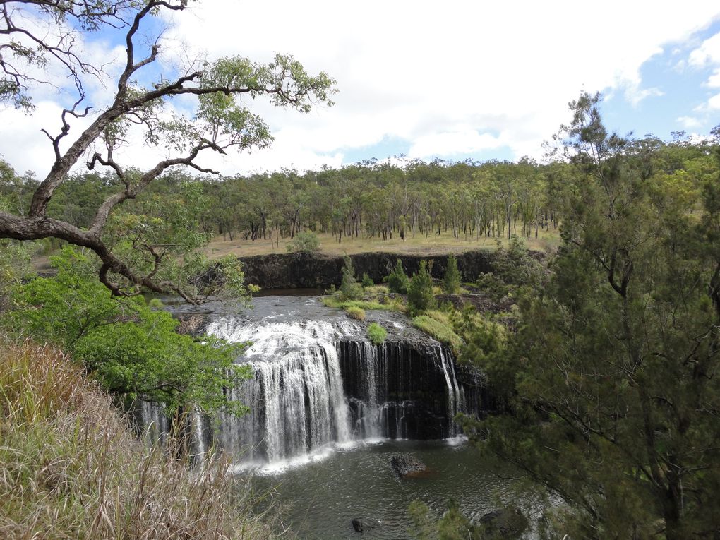 Album - atherton-tablelands