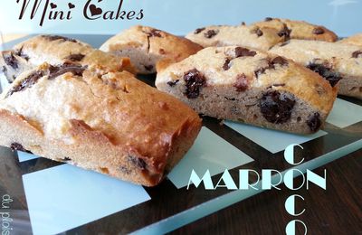 Mini Cakes Gourmands - Marrons Coco