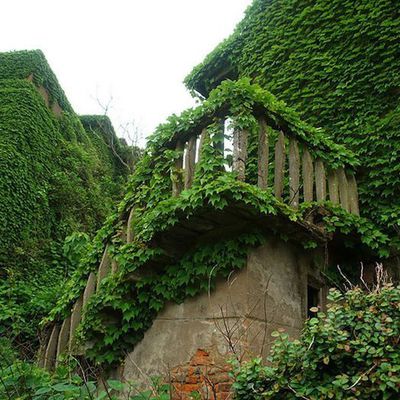 Village abandonné de l’île de Goqui