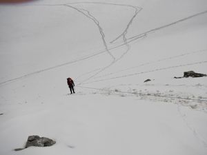 Révision glacière et les Agneaux