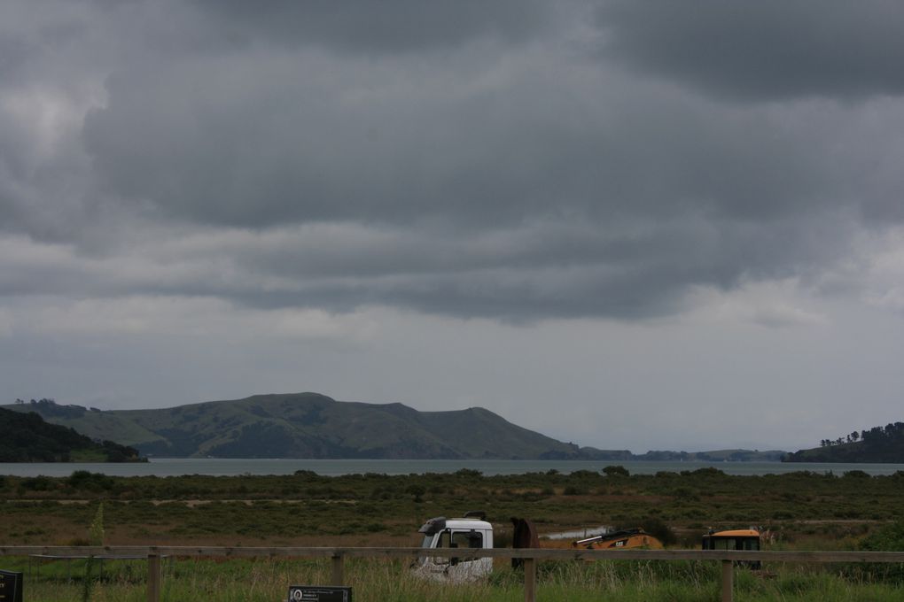 Album - Coromandel Town