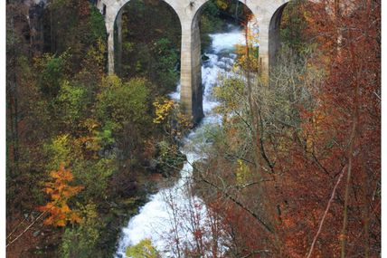 Magie de l'automne 