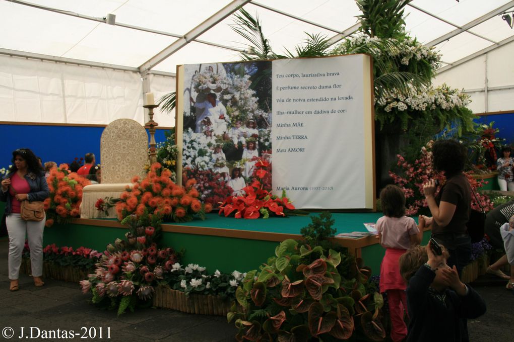 Madere-Funchal,c'est dans cette ville capitale de l'isle que se realise tous les ans la fete de la fleur,cette année c'etait du 5 au 8 Mai et j'y etait,voici quelques images