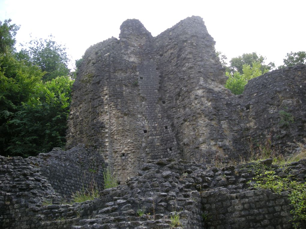 Album - Le sanctuaire Gallo-romain