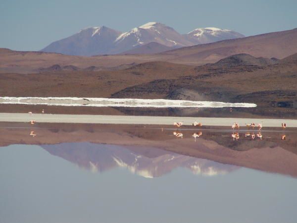 Album - bolivie