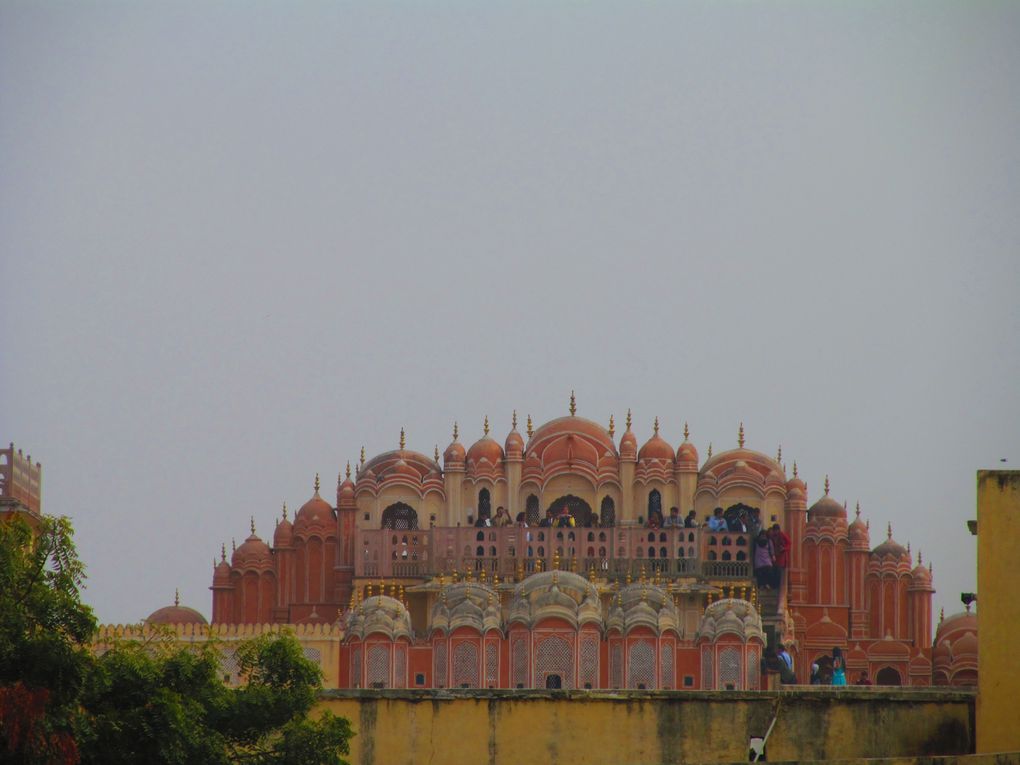 Album - Jaipur