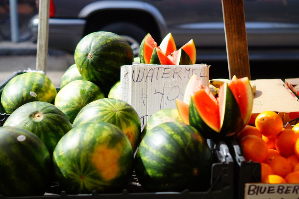 Utilisez les flèches pour naviguer d'une photo à l'autre! 