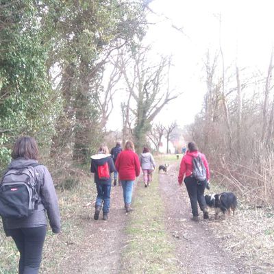 19ème Rando Canine Courmemin le 18.03.2018