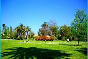 Jardin en Catalogne