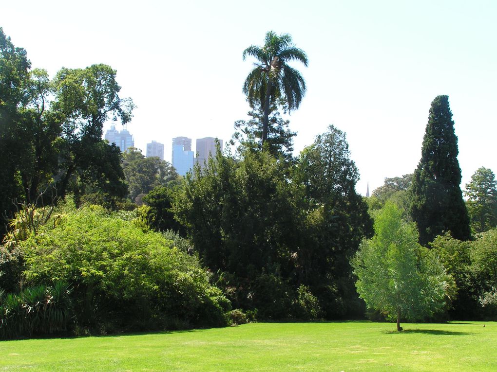 Album - Melbourne-Botanical-Garden