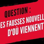 État sous influence : " Vraies fausses nouvelles ", d'où viennent-elles ? (Affaire "Fact &amp; Furious") - Marguerite Rothe * Le Blogue