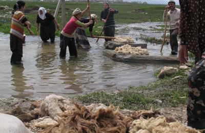 artisans de la laine