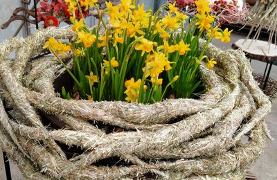 ATELIER ART FLORAL - NID DOUILLET