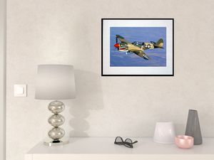 photo-avion-curtiss-P-40-warhawk-AV0144 