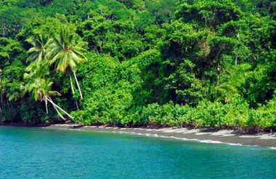 Costa Rica eco-lodge named cleanest beach in the country