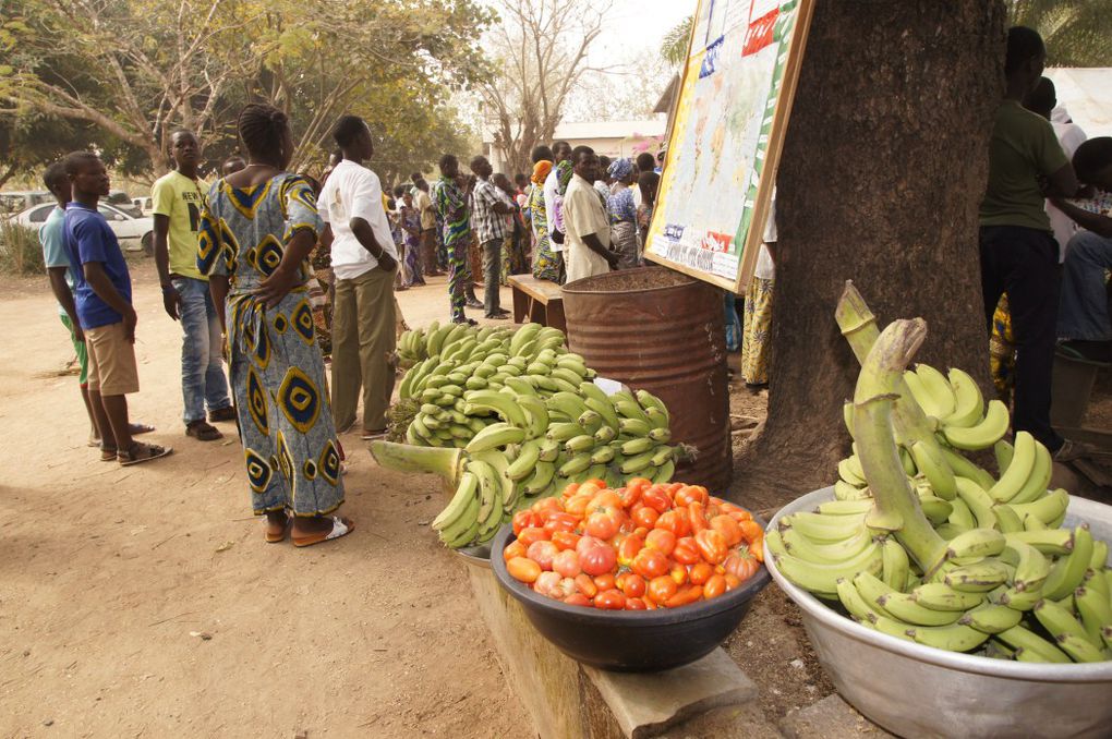 Jubilé d'Argent de la présence SVD au Bénin. La célébration du Jubilé à Bétérou, dans le diocèse de Parakou, nord du Bénin