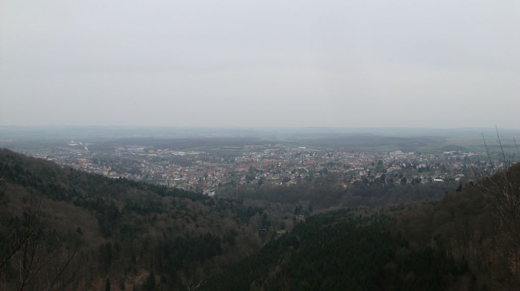 La prochaine étape sera le rocher du Marienfels (385m) surplombant le Ramstahl, et d'où la vue sur Saverne est sympathique. Par beau temps, cela doit être encore plus magnifique.  Le chemin forestier menant au Schweitzerhof étant dans un piteux état suite à la pluie et aux travaux de bûcheronnage, nous suivrons la ligne de coupe par la Schlosserhoehe, direction la maison forestière.