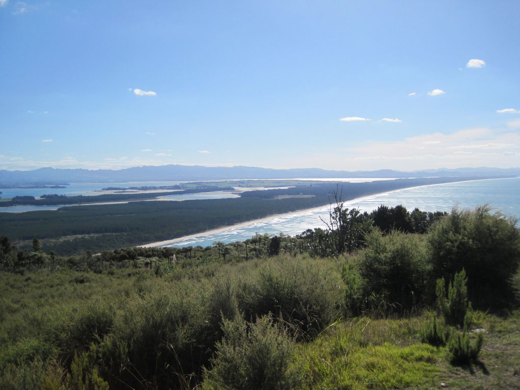 Tauranga et la région ainsi que le volcan Tongarino