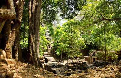 Cambodge: Siem Reap: les temples d'Angkor 1