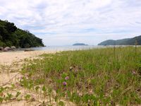 14-15-16-17/02 - Ilha Grande, la magnifique!