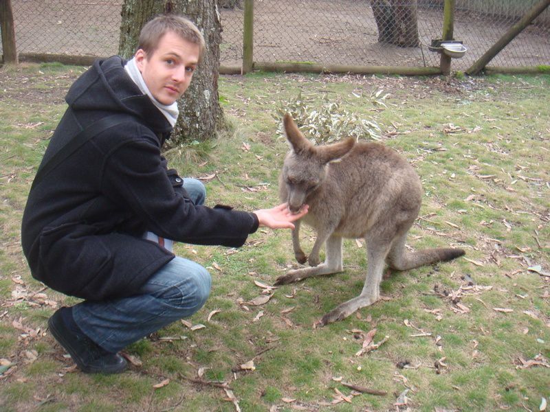 Album - The Koala Park