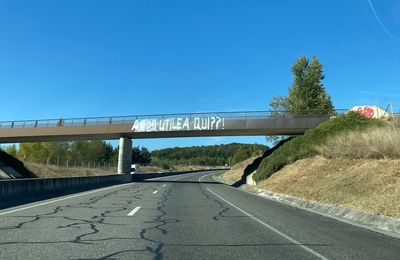 A69 Toulouse-Castres : les travaux de défrichement suspendus jusqu'à vendredi, la grève de la soif des opposants interrompue