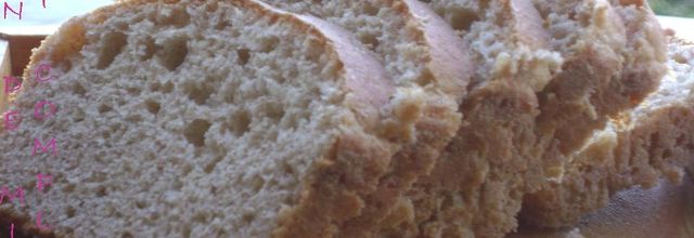 THE PAIN DE MIE SEMI COMPLET DE MLLE BANANE