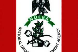 NDLEA Intercepts Two Narcotics Traffickers At Lagos Airport