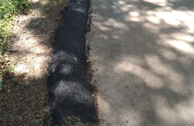 Route du Pré gelé