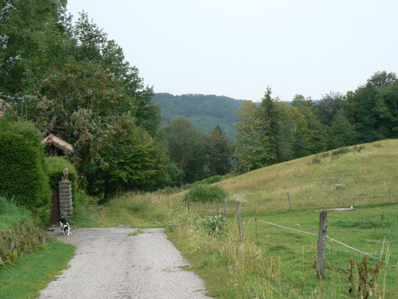 Un petit tour dans les Vosges pour admirer la Grande Cascade située à proximité de la charmante commune du Tholy.
