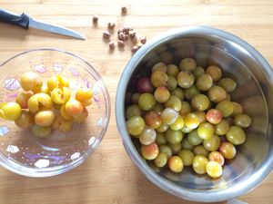 Tarte aux mirabelles, pâte sablée à l’amande