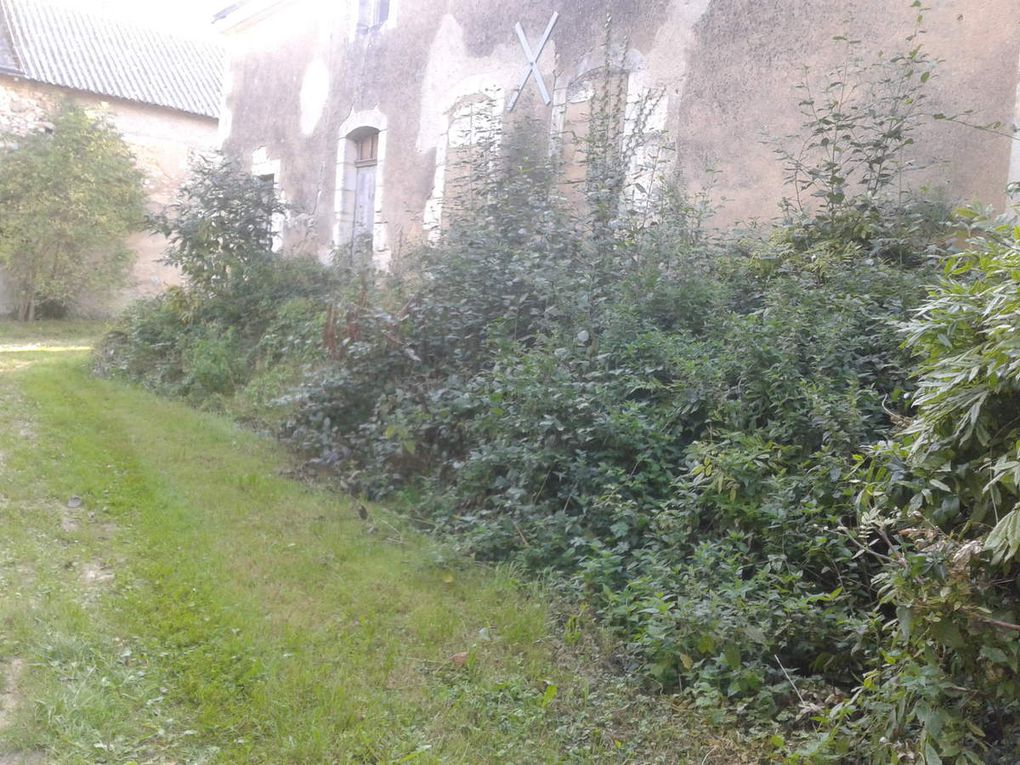 Nettoyage des abords d'un château à Baugé en Anjou