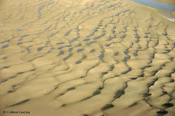 D&eacute;couvrez la pointe d'Agon et le havre de Regn&eacute;ville vus du ciel