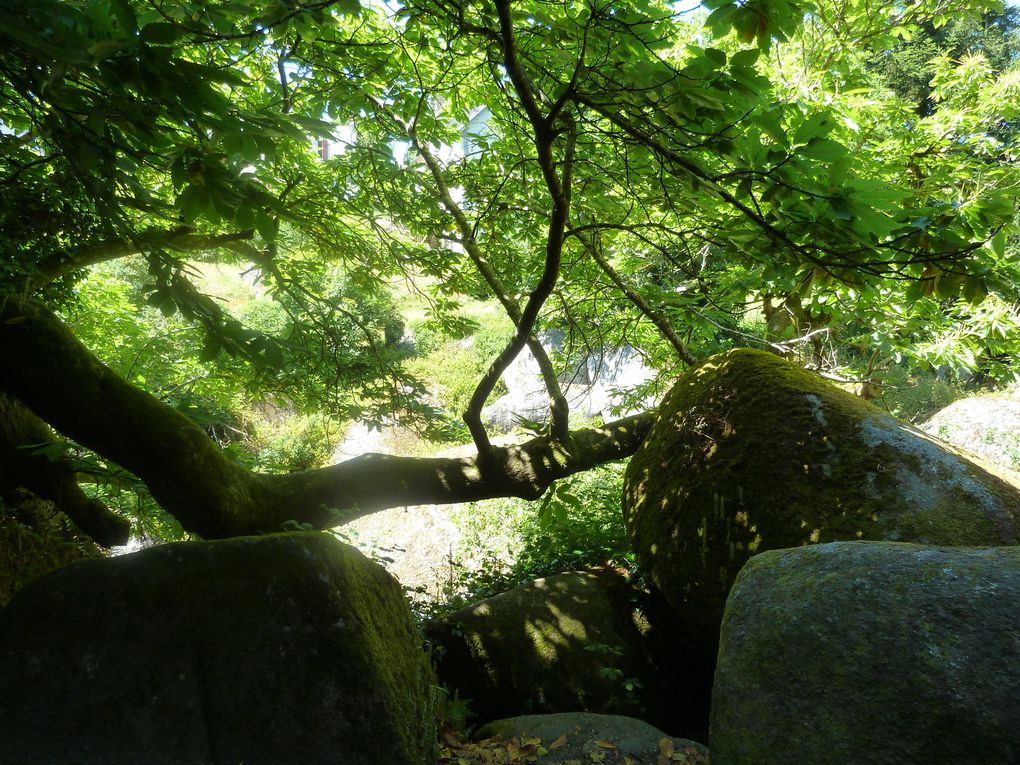 Huelgoat, forêt de légendes