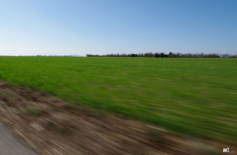 Album - Valensole-et-ses-environs