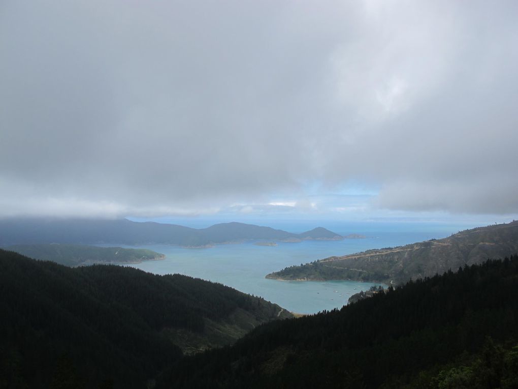 Album - Top South Island