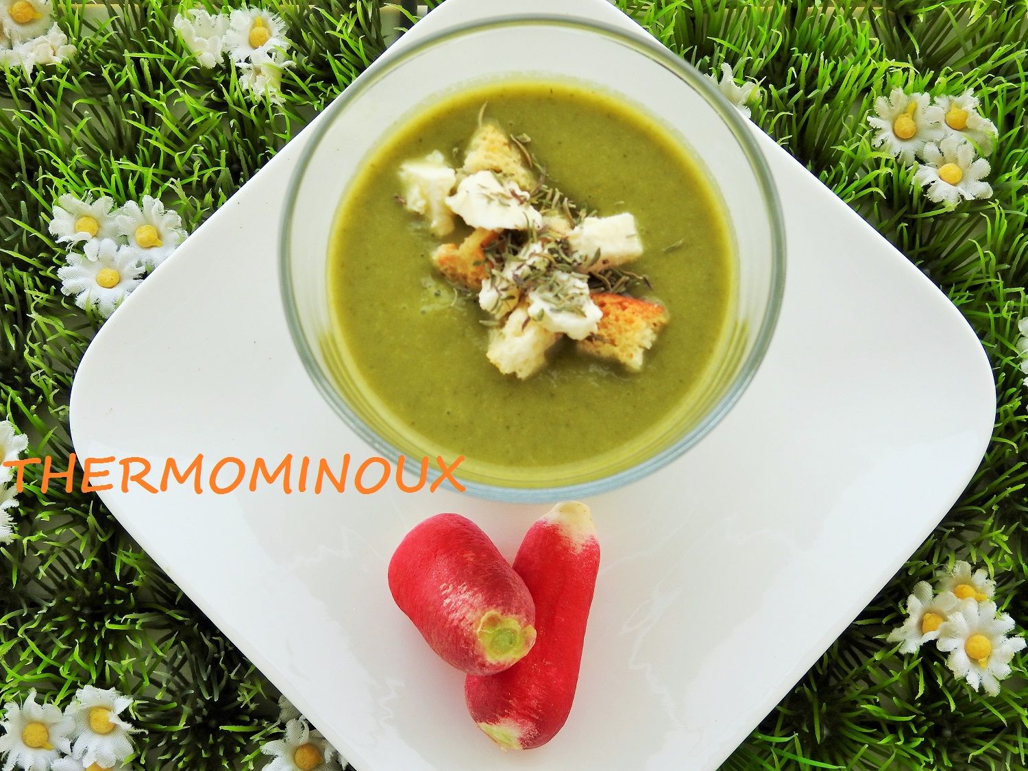 Soupe De Fanes De Radis Thermomix GASPACHO DE FANES DE RADIS (thermomix) - Blog cuisine Thermomix avec  recettes pour le TM5 & TM31