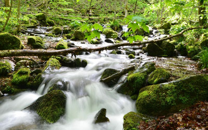 Cascade du Hohwald