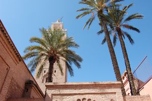 Visite du vieux Marrakech