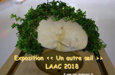 Exposition Un autre œil au LAAC - Dunkerque - Septembre 2018 .