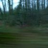 Abstract photo: impression n°229. Forest, Perche, France