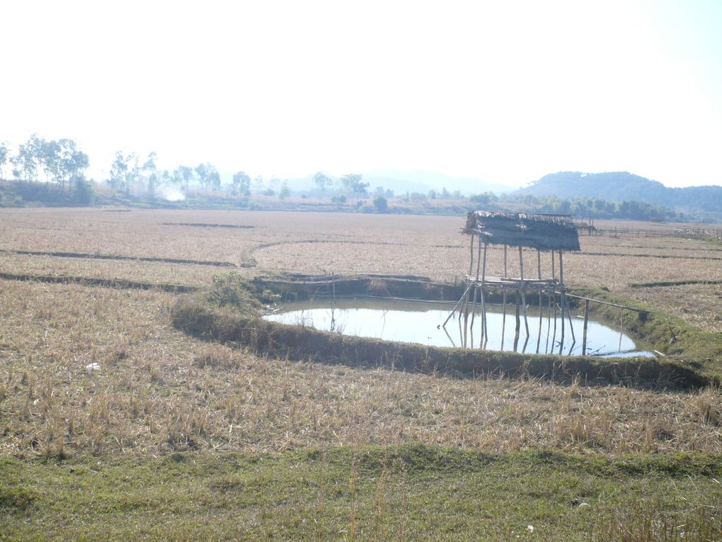 Album - LAOS