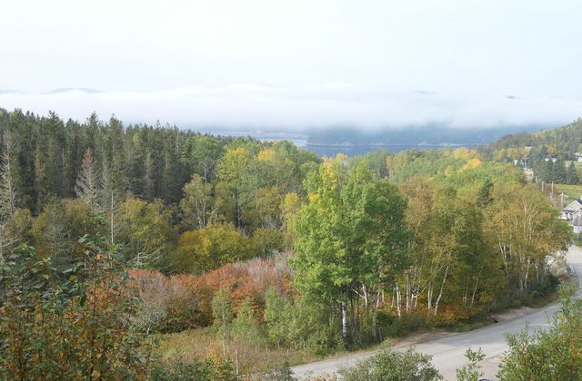 La côte nord du fjord du Saguenay 