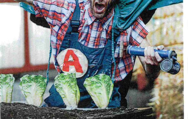 Théâtre, foyer d'Alairac, sam 13 mai 19h : C'est pas (que) des salades