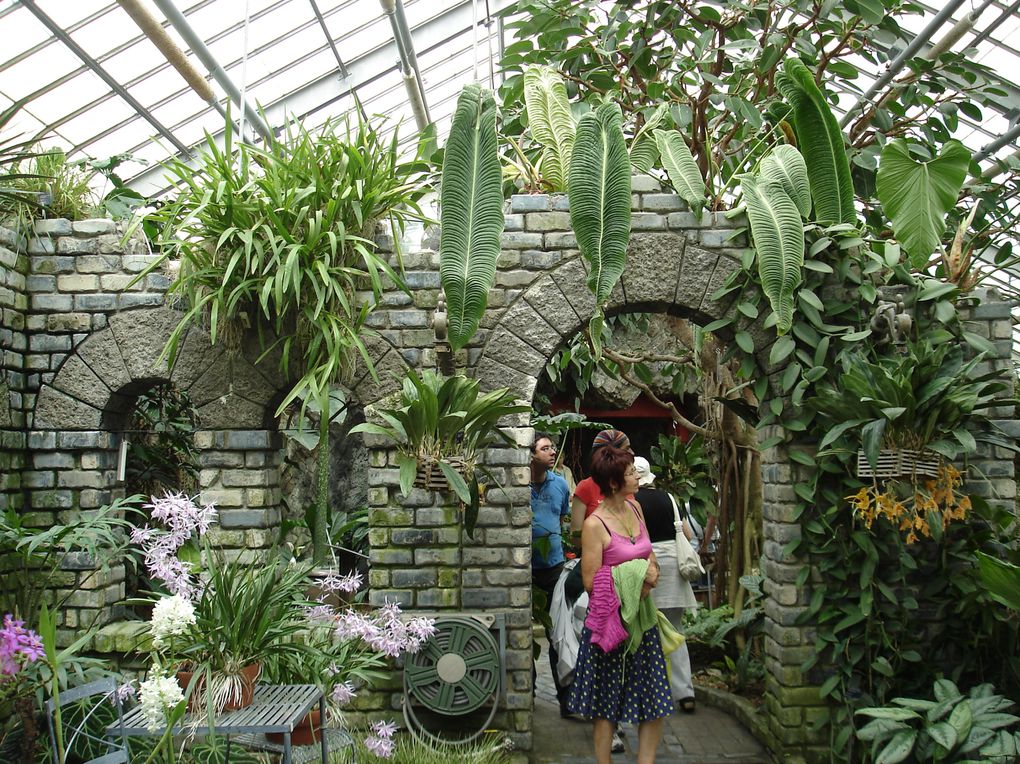 Album - jardin-botanique-et-biodome