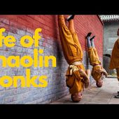 An exemplary Shaolin warrior monk少林功夫人物#yanhao #shaolinkungfuyanhao