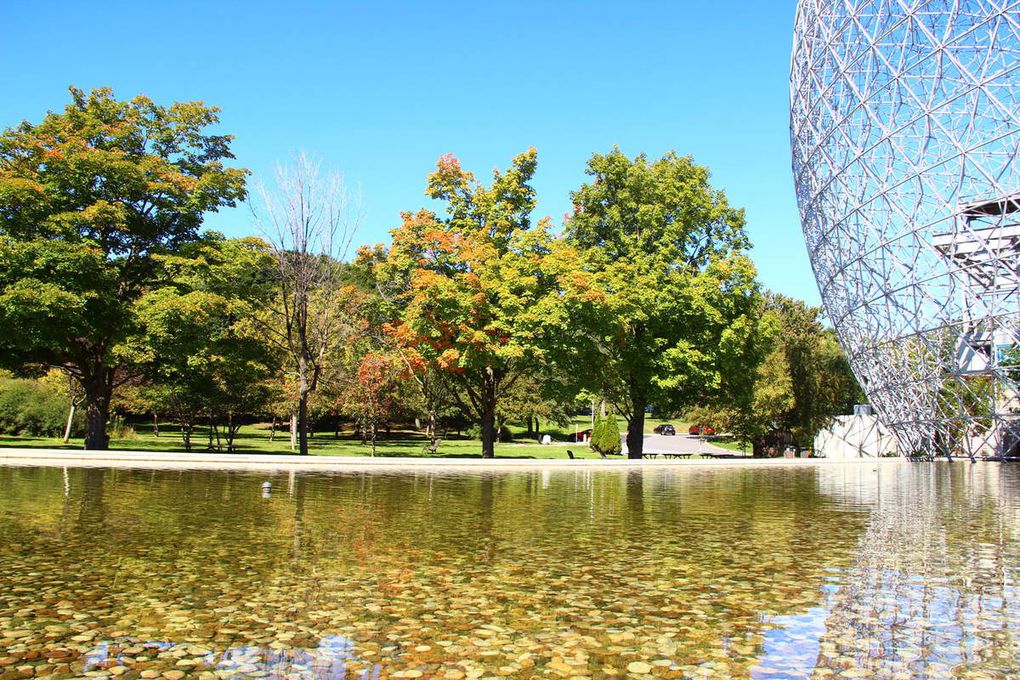 La biosphère