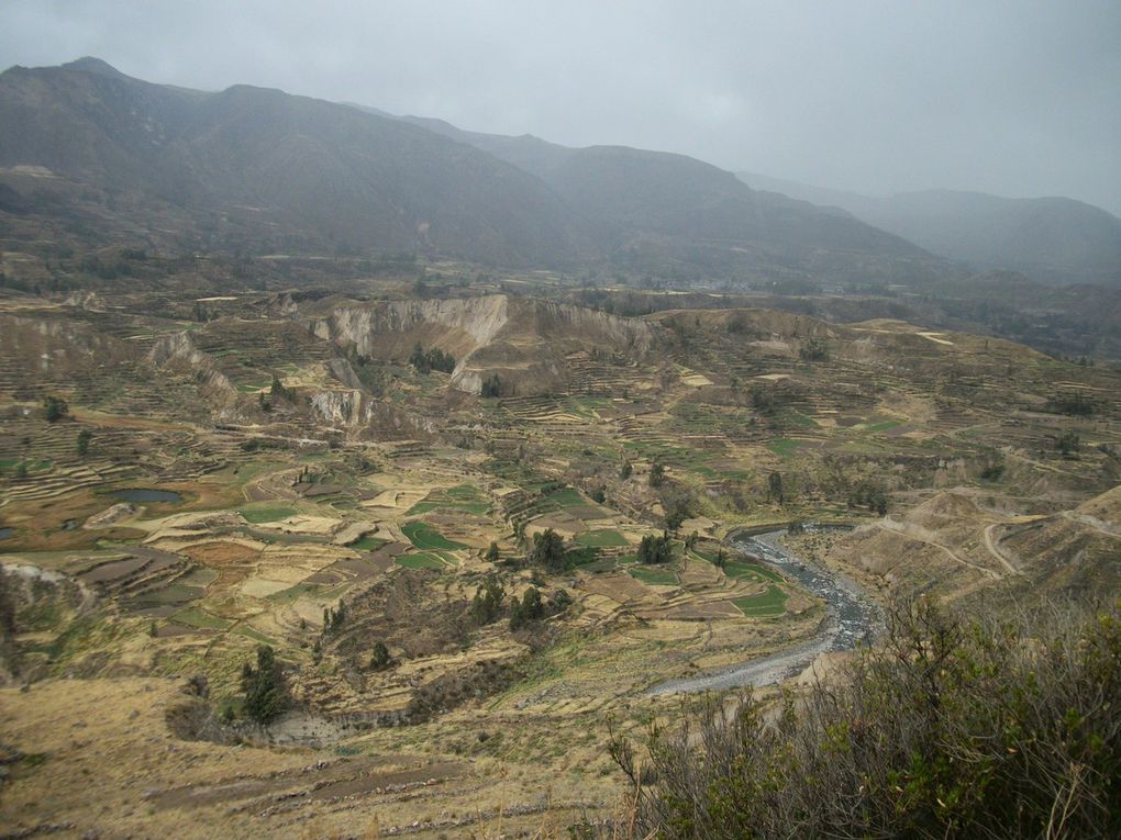 départ d'Arequipa vers Chivay 155 kms en bus puis collectivo pour Cabanaconde 56 kms , arrêt a Maca puis 3jours de "balade". le soir du 20 fête de la san Pedro  patron deCabanaconde et anniversaire d'André......alpaca et causa au menu...;