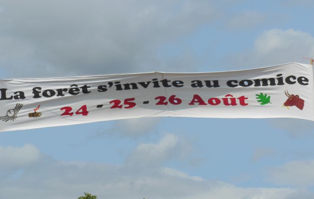 25 août à Pruillé l'Eguillé : le comice agricole
